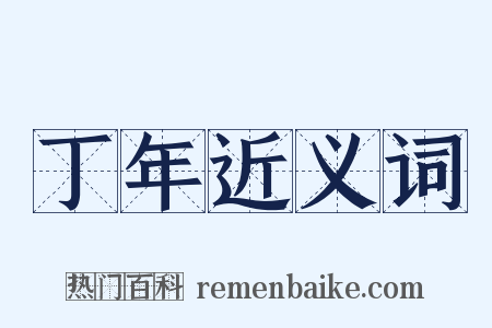 丁年近义词是什么意思的图片